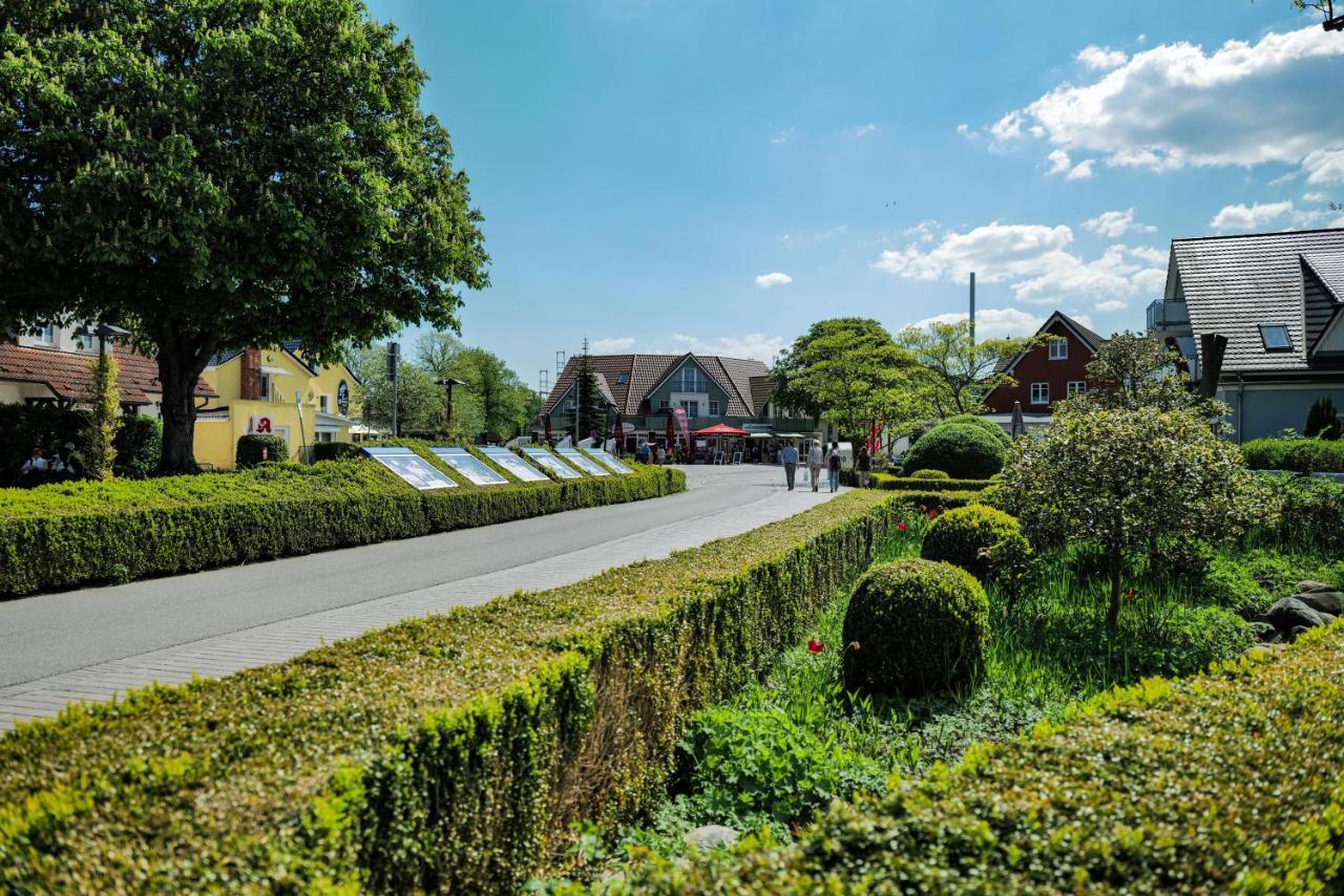 Ferienwohnungen Meerfarbig Zingst - Haustierfrei -Terrasse Mit Strandkorb Oder Balkon - E-Ladesaeule - Parkplatz - Wlan - Fahrradschuppen - Waschtrockner - Ruhig Und Zentral - Nichtraucher Buitenkant foto