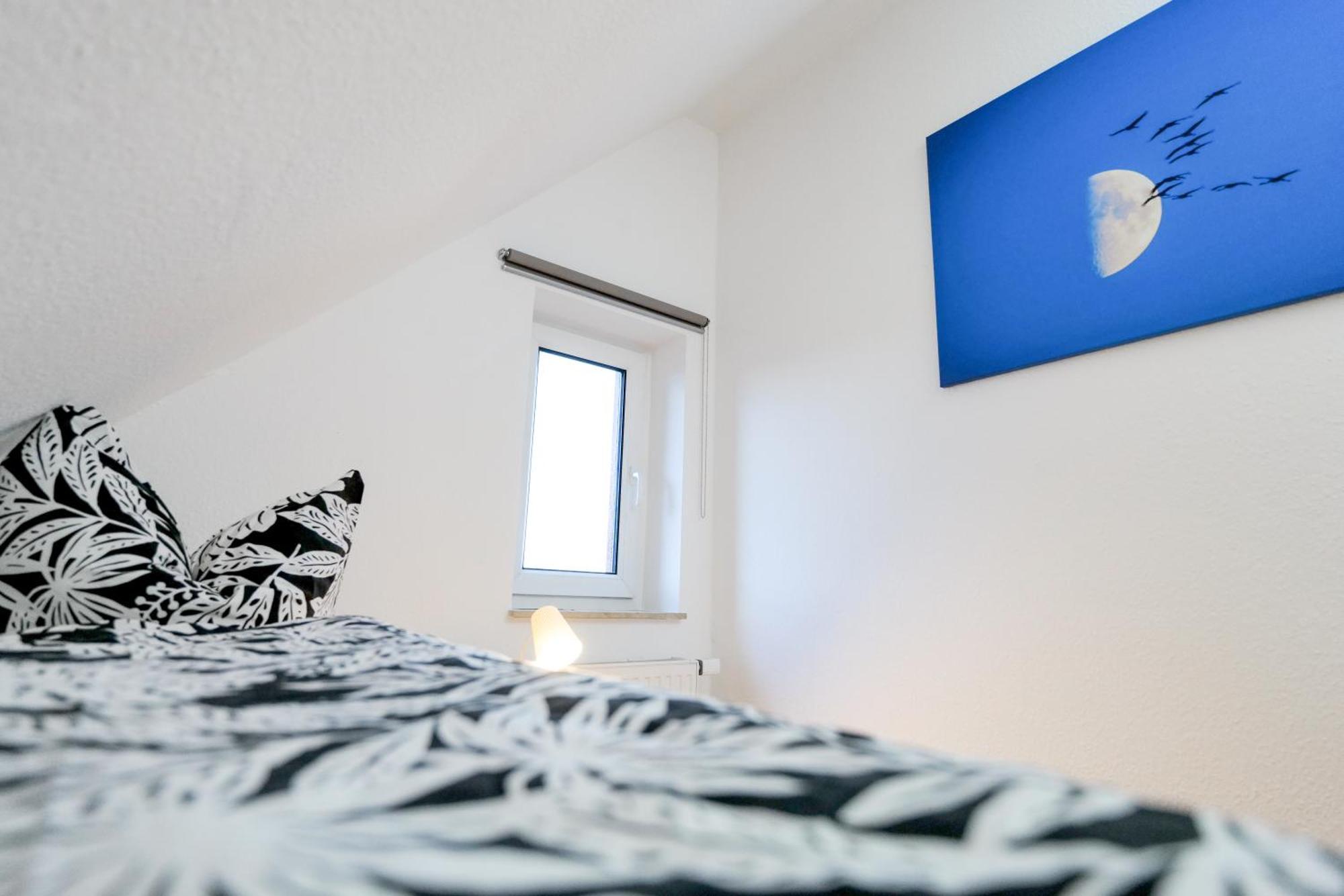 Ferienwohnungen Meerfarbig Zingst - Haustierfrei -Terrasse Mit Strandkorb Oder Balkon - E-Ladesaeule - Parkplatz - Wlan - Fahrradschuppen - Waschtrockner - Ruhig Und Zentral - Nichtraucher Buitenkant foto